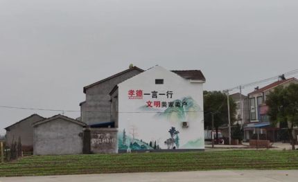 海宁新农村墙绘